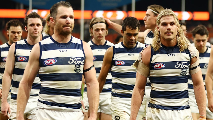 Cats claim they are not distracted by concussion controversy
