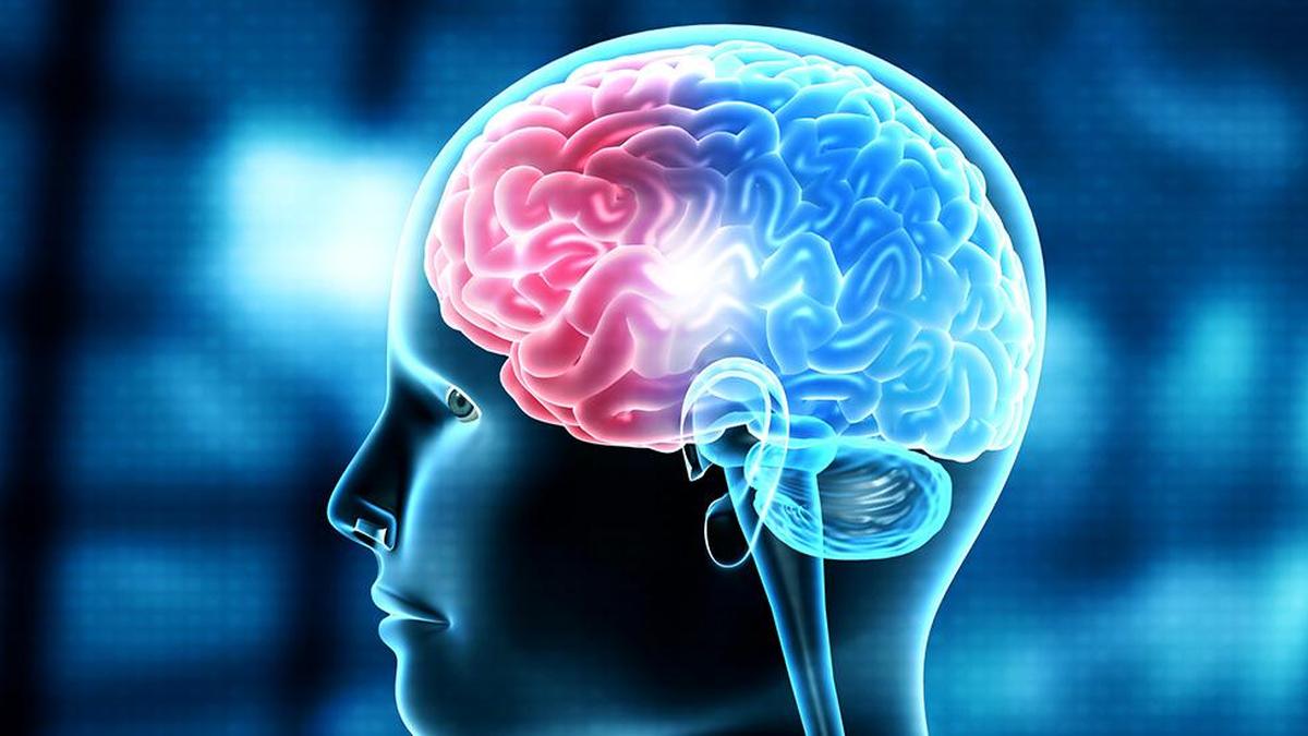 Peripheral inflammation may drive brain damage in rare neurological disorder, finds NIMHANS study