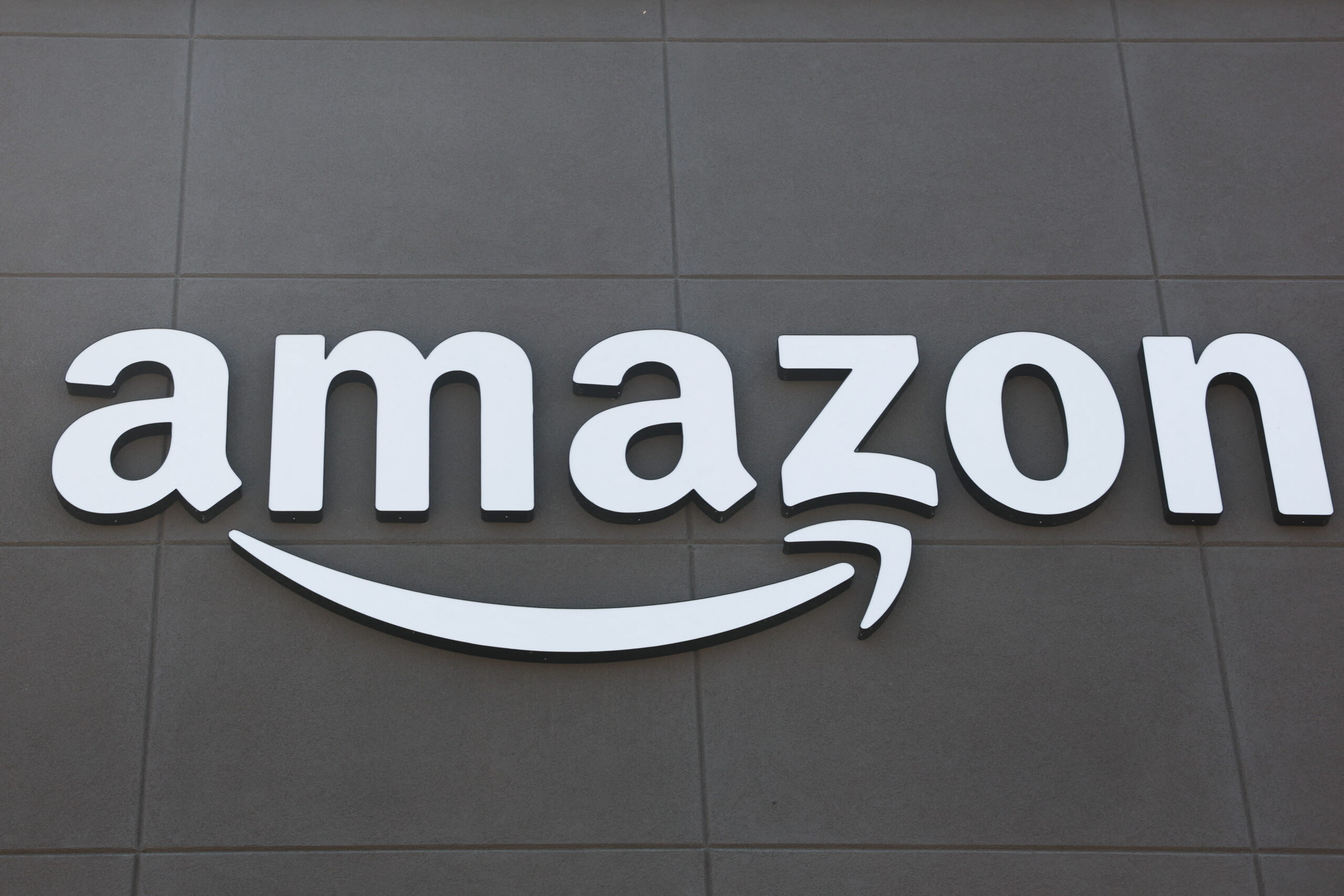The U.S. sues Amazon again