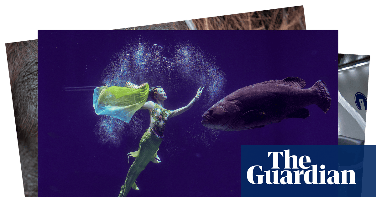 A Chinese mermaid and Manchester Pride: photos of the weekend