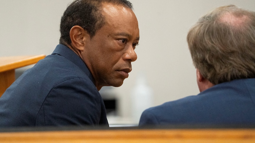 Tiger Woods loses driving licence for five years after plea deal