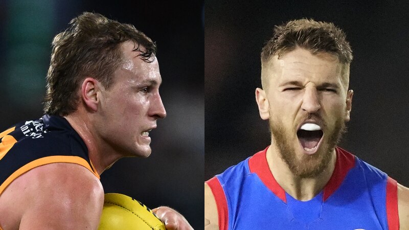 Stars, stakes and heartbreak as Crows, Bulldogs prepare for blockbuster final