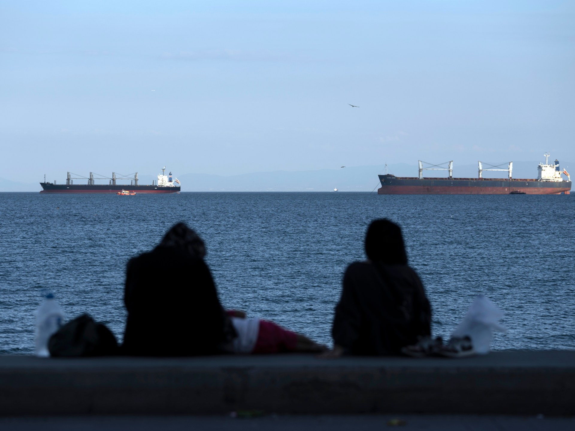 Turkiye launches search for cargo ship after vessels collide off Istanbul