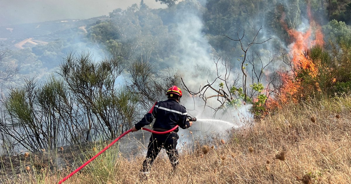 Algeria’s president seeks death penalty for those who start forest fires