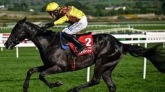 Two-time Gold Cup winner Galopin Des Champs dies days after retiring