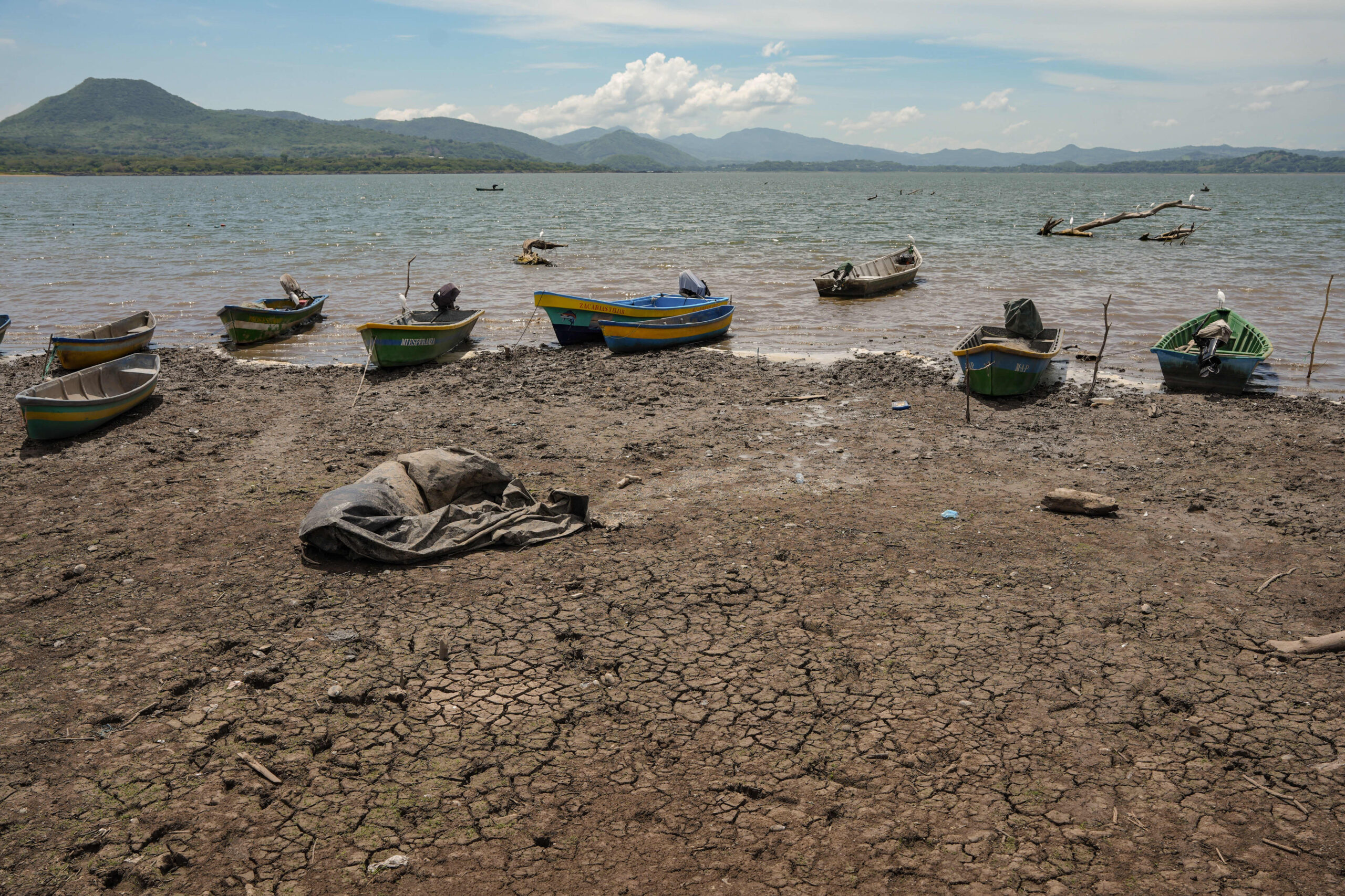'Danger zone of extreme weather': UN warns of supersized El Niño set to hit global economy and markets