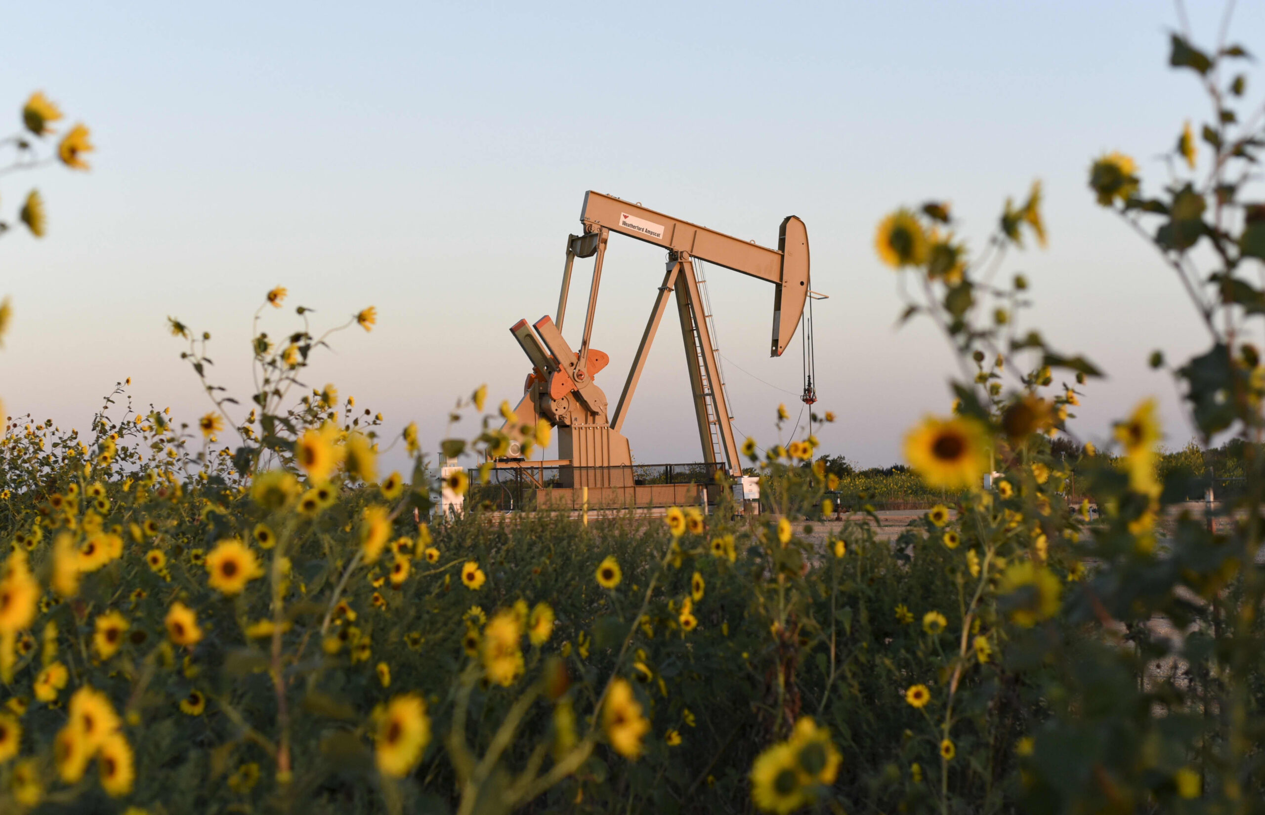 Buy these cheap dividend-paying energy stocks, Goldman Sachs says
