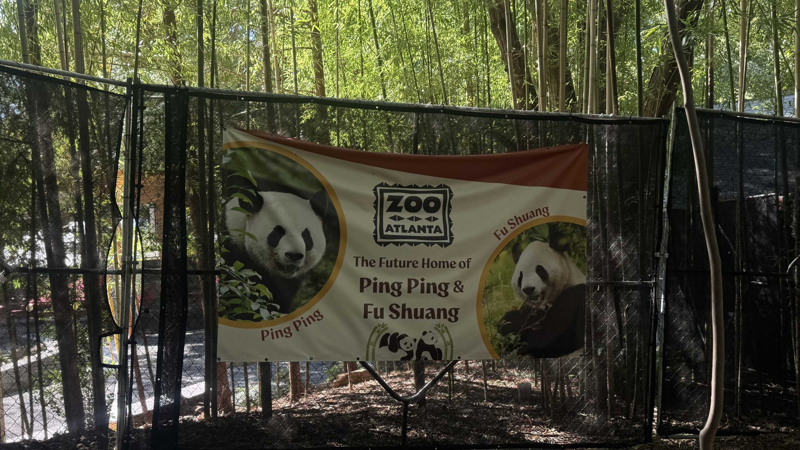 2 giant pandas arrive at Zoo Atlanta in a rare loan from China – WBAL-TV