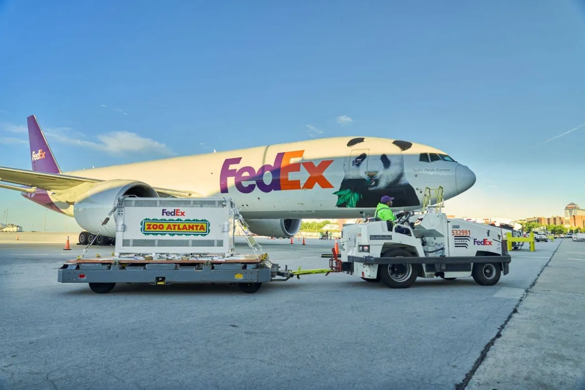 Two Giant Pandas, Emblems of China Soft Diplomacy, Arrive in US – ASHARQ AL-AWSAT English