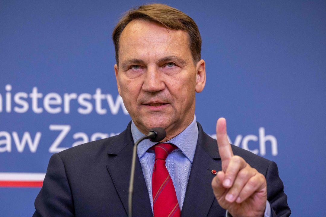 Russia lacks forces for 'major attack on NATO,' Poland says – TRT World