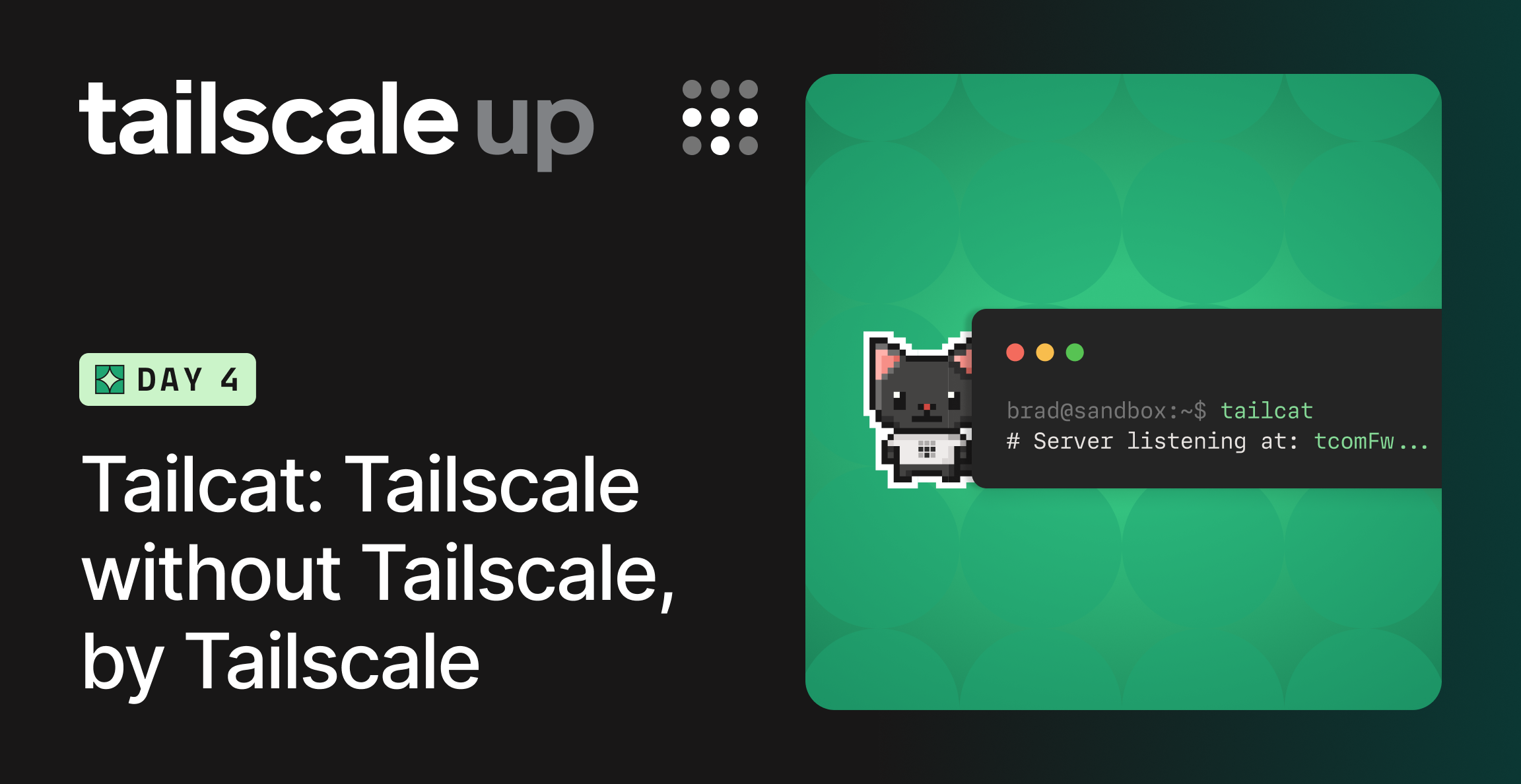 Tailcat: Tailscale Without Tailscale, by Tailscale