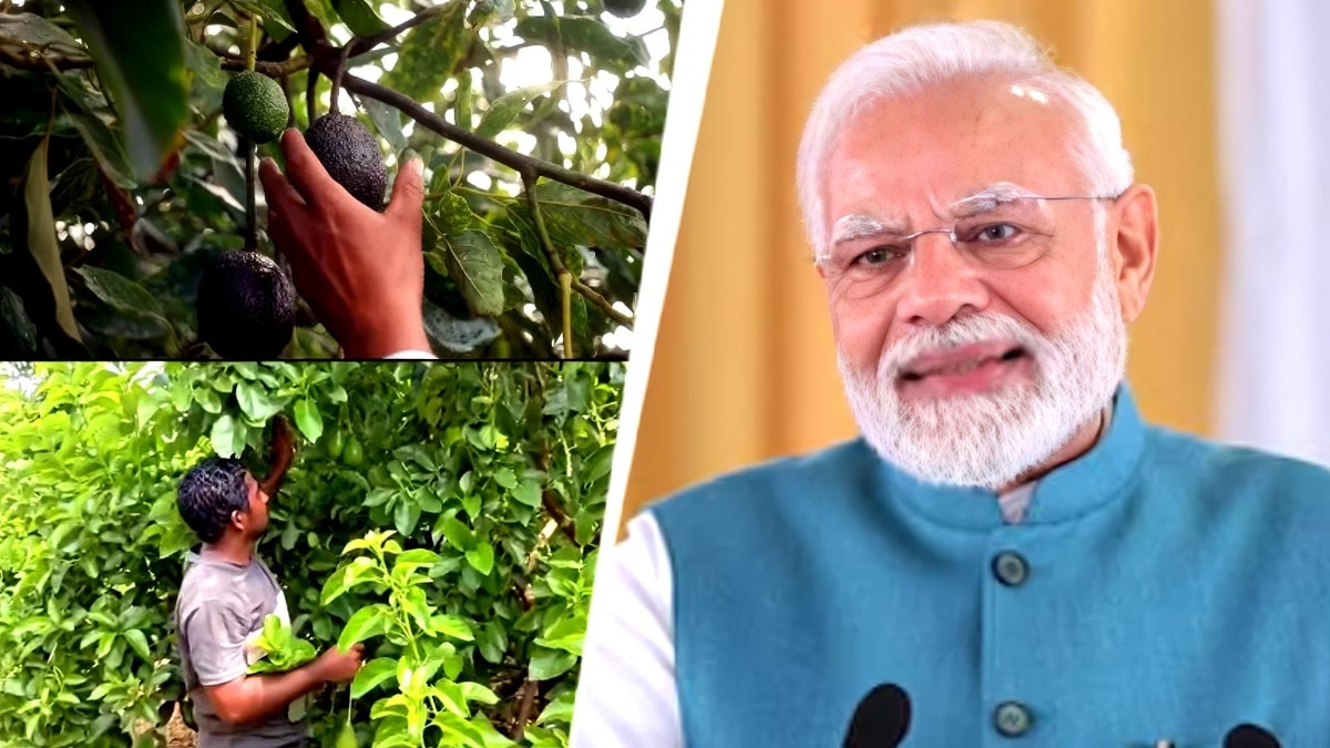 PM Modi's latest GenZ outreach has an avocado toast. Sorry, twist