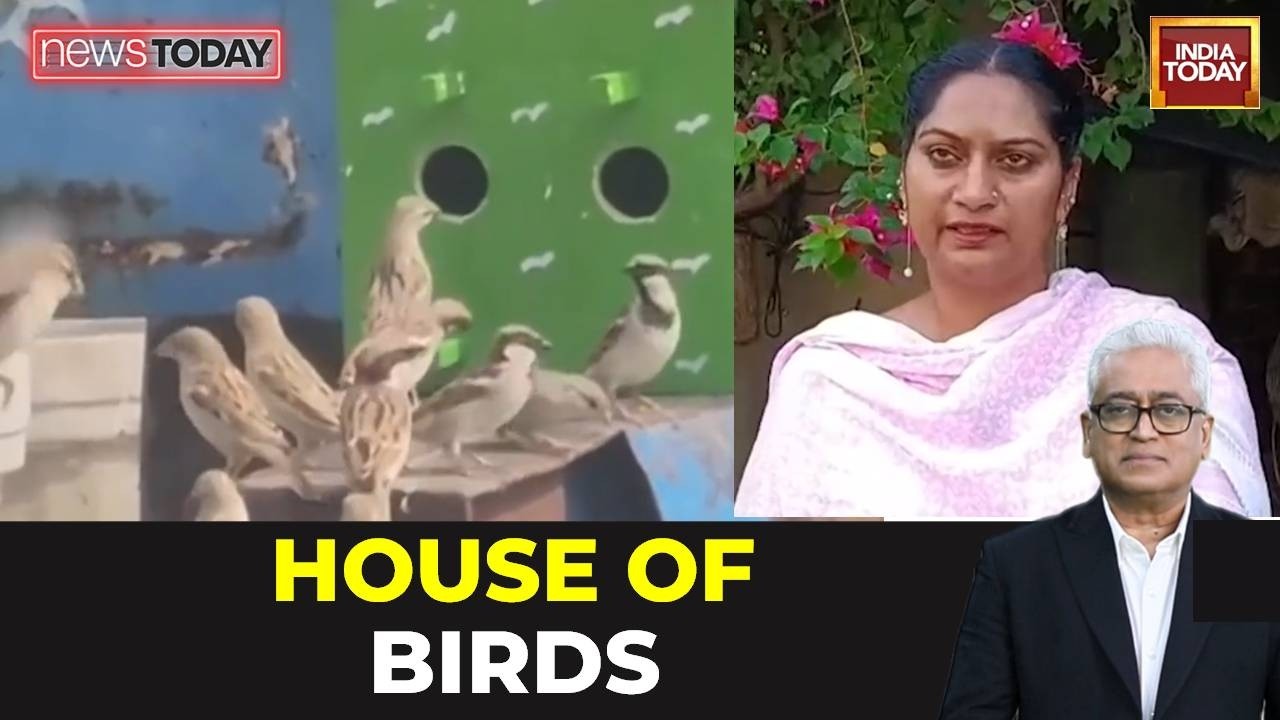 Punjab Village Home Becomes Haven For Hundreds Of Birds Over 13 Years