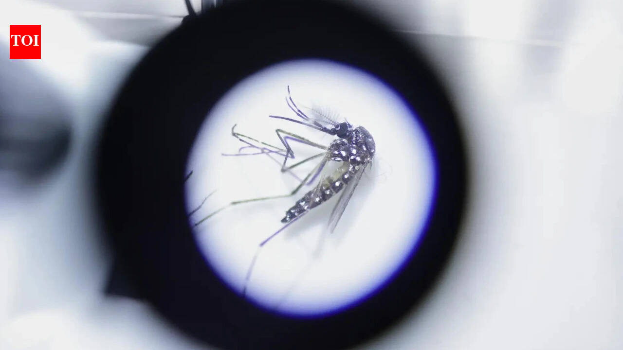 Northeast faces new vector threat as diseases spread to new areas: Health panel