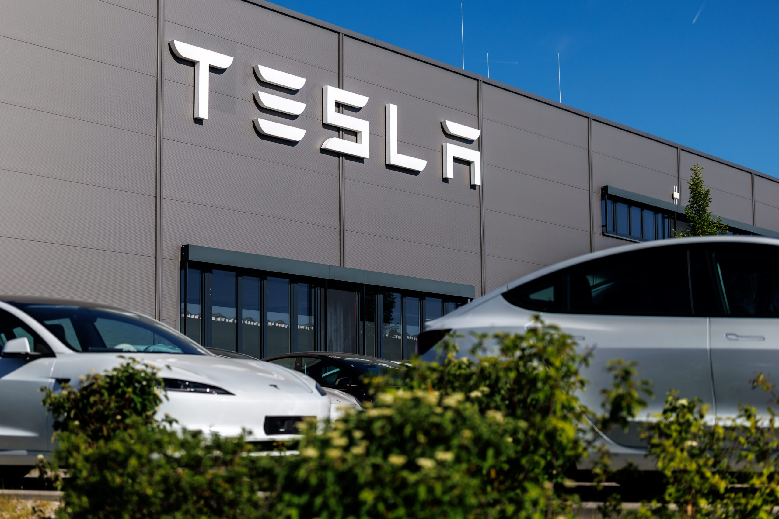 Stocks making the biggest moves midday: Tesla, Ciena, Meta, Snowflake, Ultragenyx Pharmaceutical & more