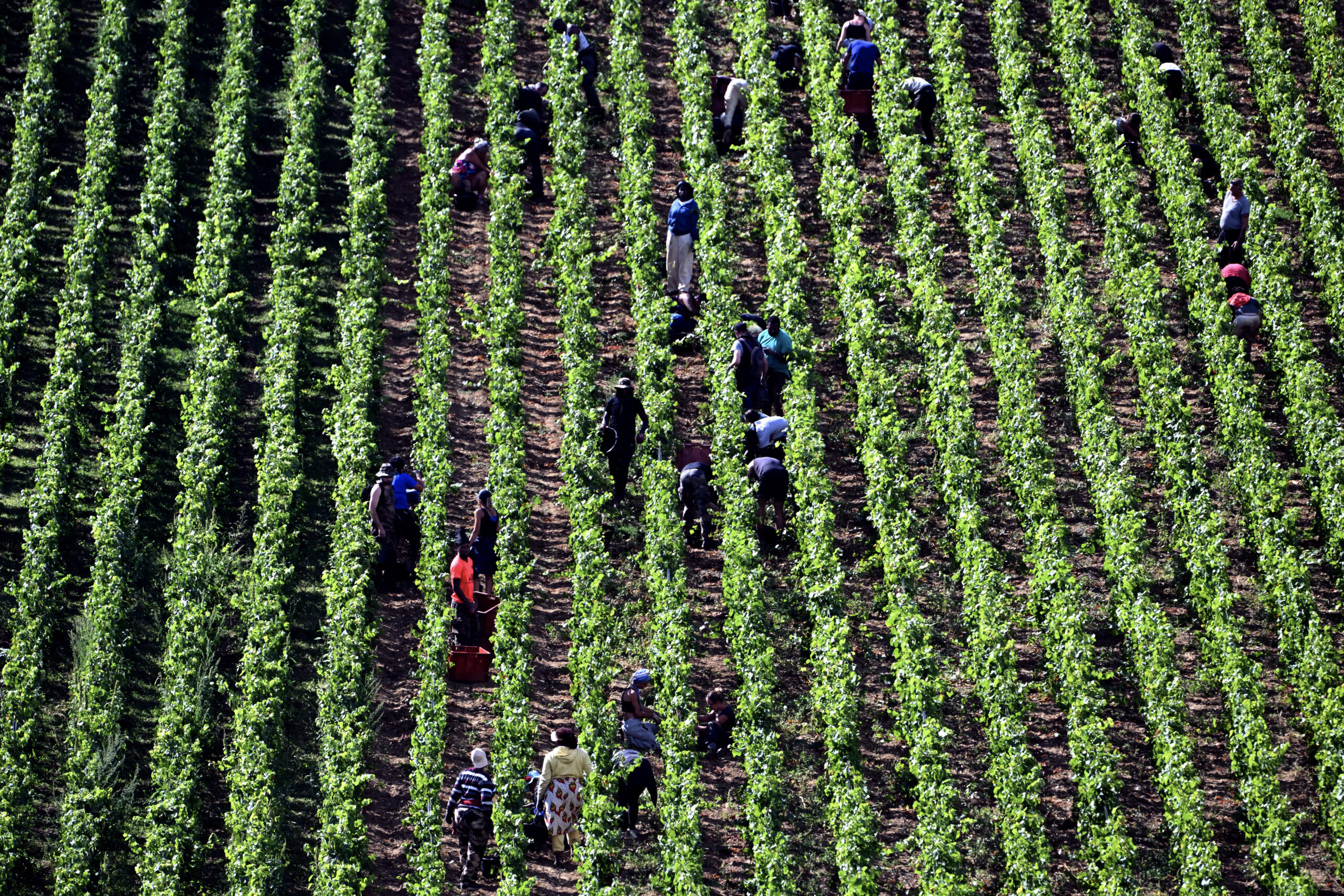 Agriculture stocks are breaking out. Jay Woods says watch these levels