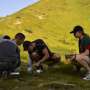 Fieldwork safety emerges as a structural challenge for ecological research