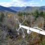 Warming winters weaken New Hampshire forest's carbon sink over 20 years