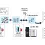 Magnetic beads streamline large-scale analysis of disease-linked glycopeptides
