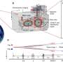 Physicists test the weak equivalence principle in an orbiting space station