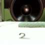 Caterpillar twitches in an ultraquiet chamber help biologists understand how these insects hear without ears