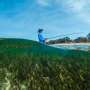Underwater meadows sustain millions in extreme poverty