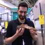 Neutron bone imaging brings T. rex to life