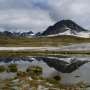 Permafrost melt could cost $261 billion in infrastructure damages, study suggests