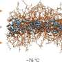 Soft nanoscale confinement prevents ice, exposing water's liquid-to-glass transition