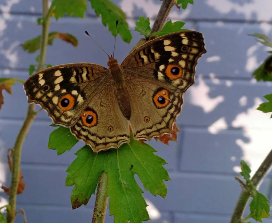 TOP SHOTS (1 September 2026)