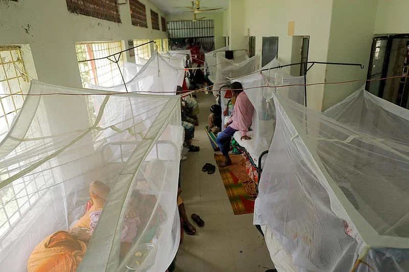 Dengue deaths in September top total for first eight months
