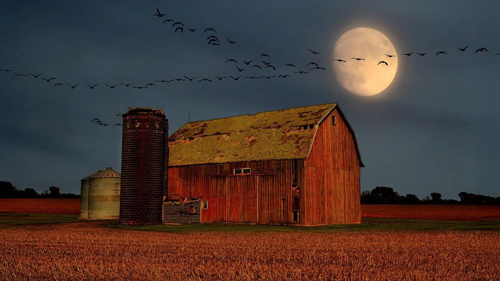 September brings a dazzling Venus and a glowing Harvest Moon