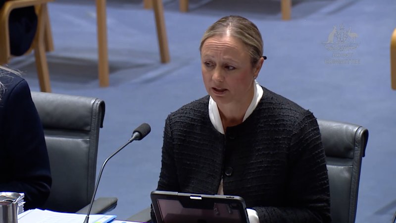 Senator Scarr upbraids KPMG on 'falling short' but not failing