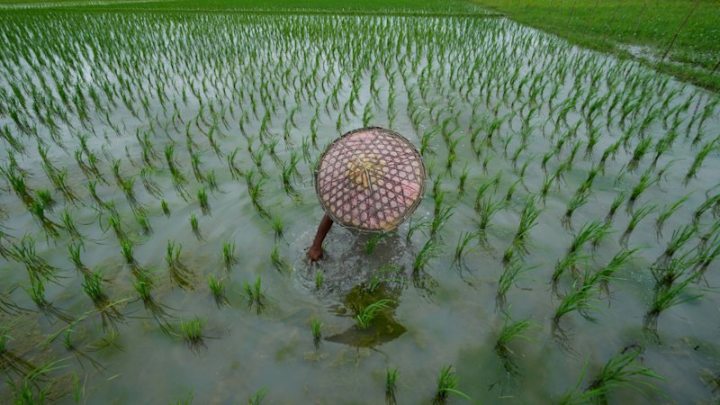 World in pictures, September 2, 2026