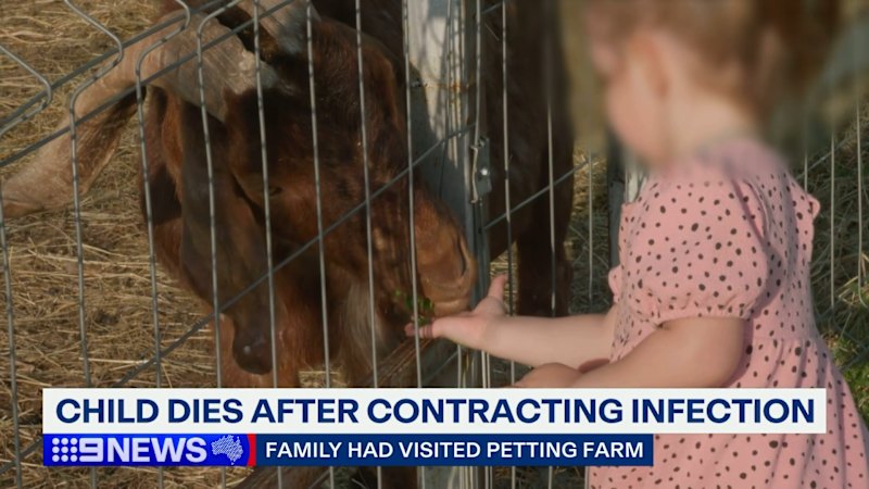 Child who caught bacterial infection at petting zoo dies