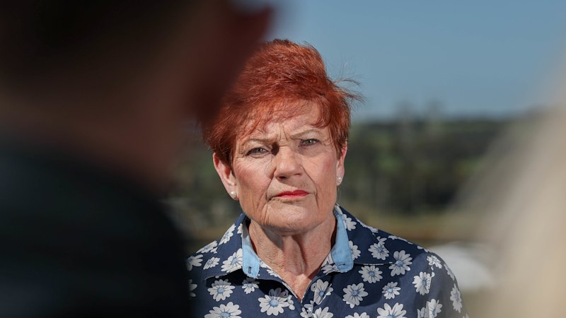 ‘Victim blaming’: Hanson demands apology as claims of inciting violence continue