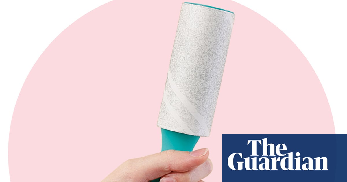 Houseplant hacks: can a lint roller banish pests?