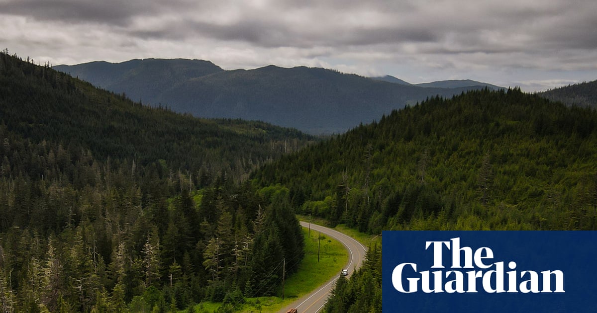 Forest Service chief faces scrutiny over logging ties as Trump plans to scrap protections