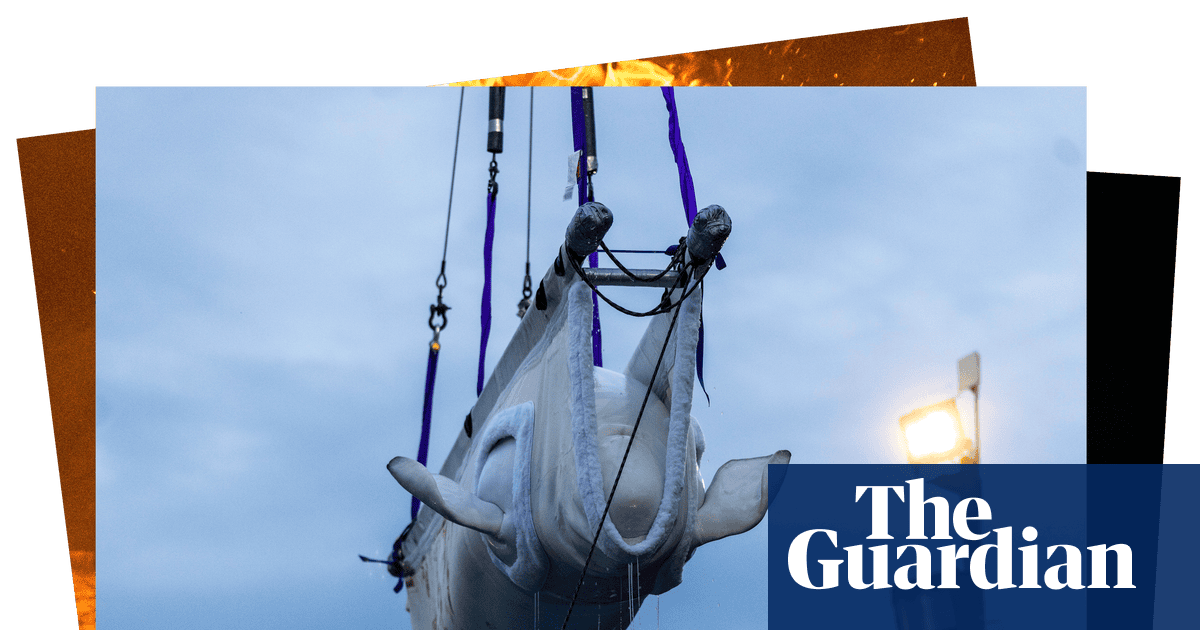 An eye-catching hat and Canada’s last captive whale: photos of the day – Tuesday