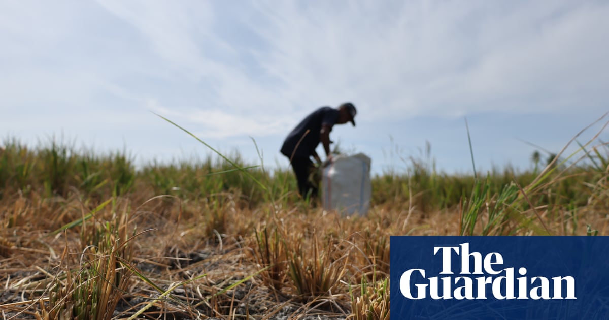 ‘Supersizing before our eyes’: UN warns of record El Niño approaching