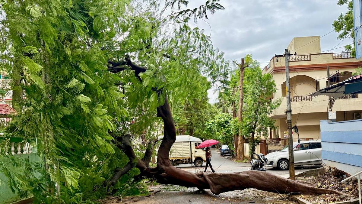 Deep depression to cross Andhra-Odisha coast near Kalingapatnam tonight; red alert in five Andhra districts