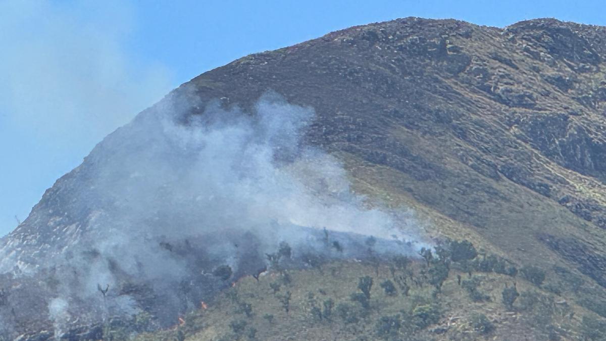 Seven teams deployed to put out forest fire in Erode’s Kadambur Hills