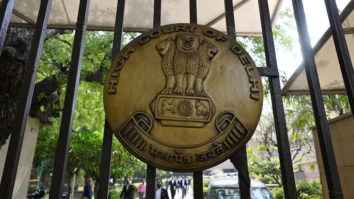 Delhi High Court grants bail to Naga insurgent in money laundering case