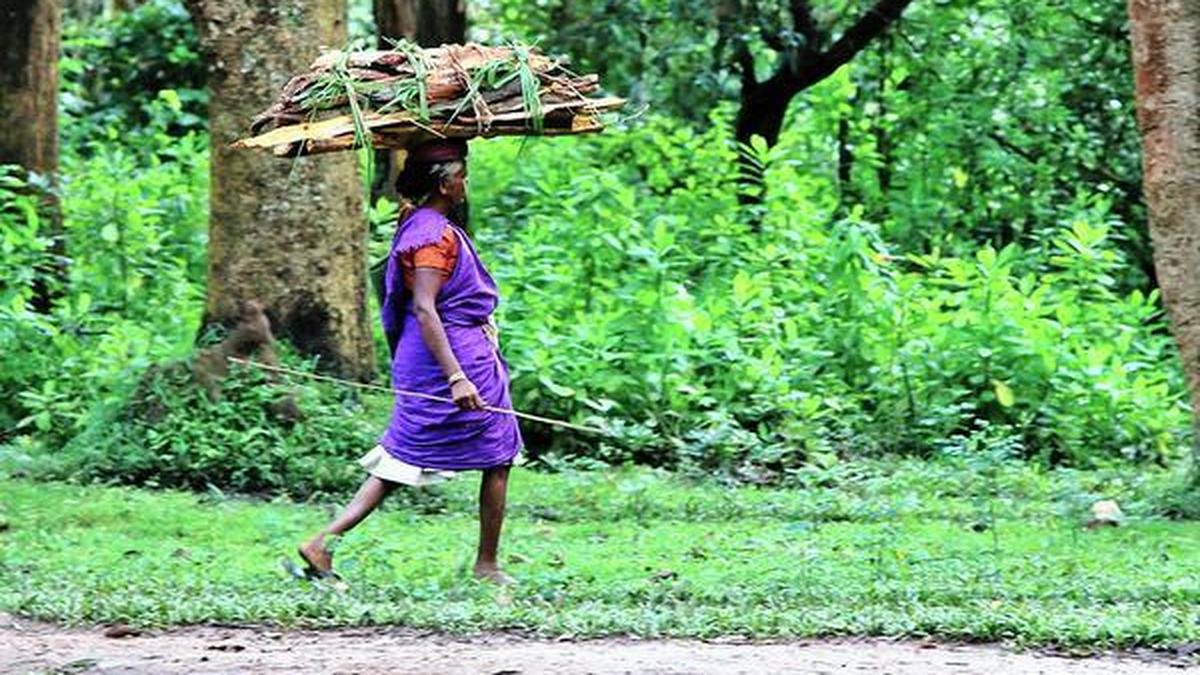 Church leaders in Keralam call for urgent steps to address concerns over ESA draft for Western Ghats villages