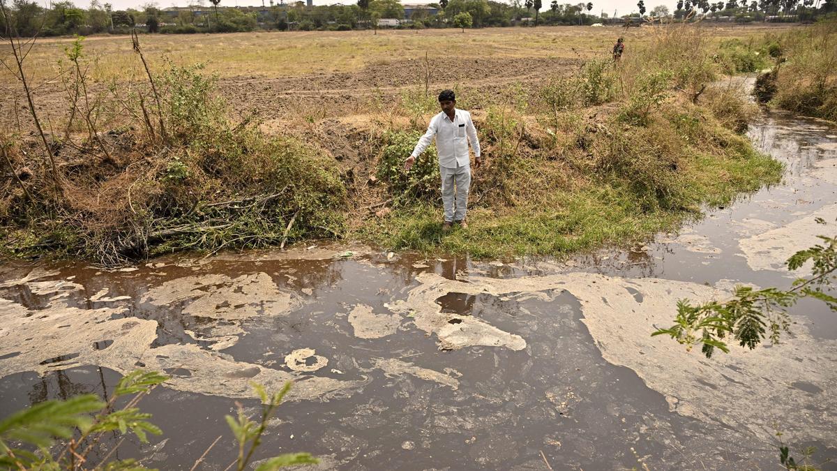 Ethanol company sues Andhra farmer over pollution claims, seeks ₹1 crore compensation
