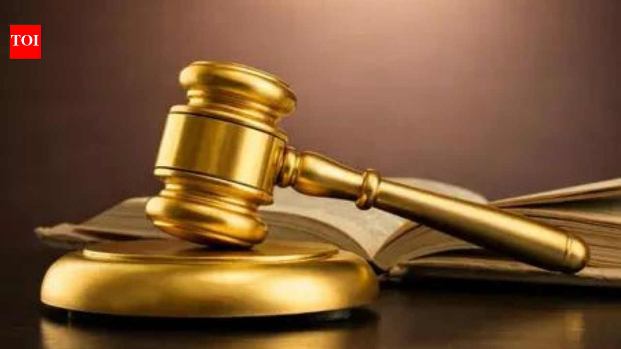 Tribunal alters gay ex-IAF man 'dismissal' to 'routine discharge'