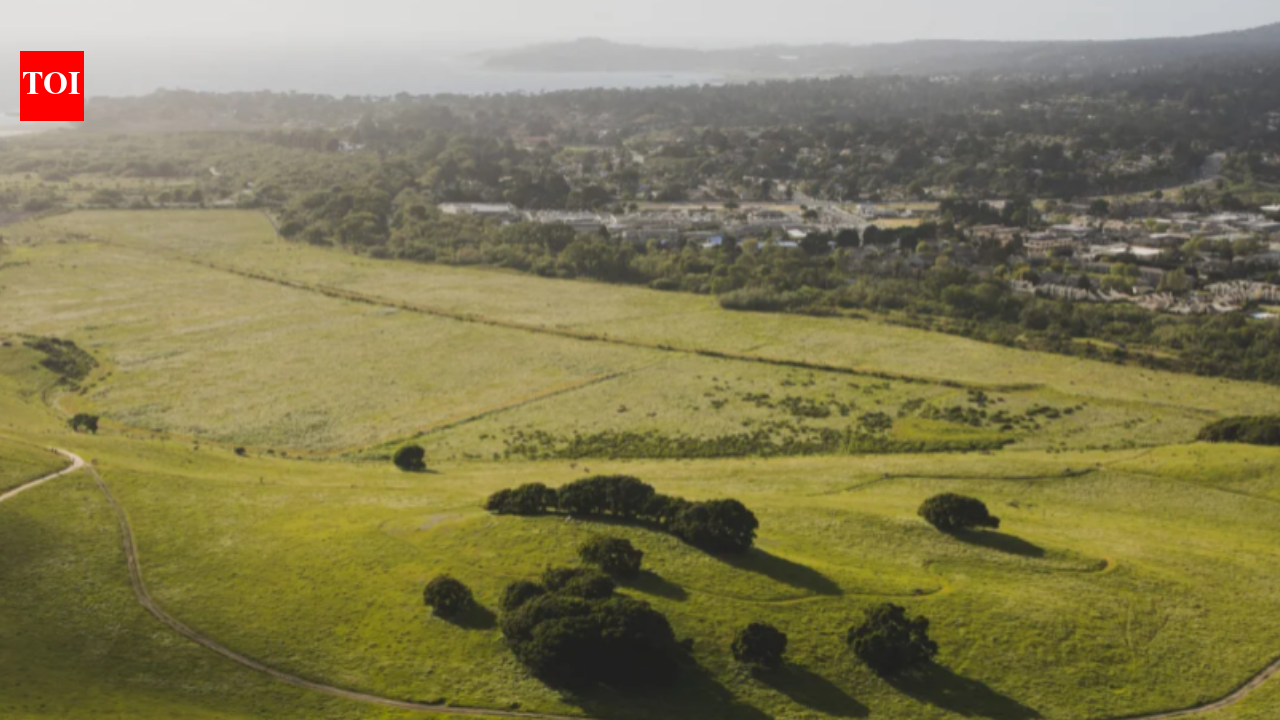Clint Eastwood's ranch donation now forms 128-acre California restoration site