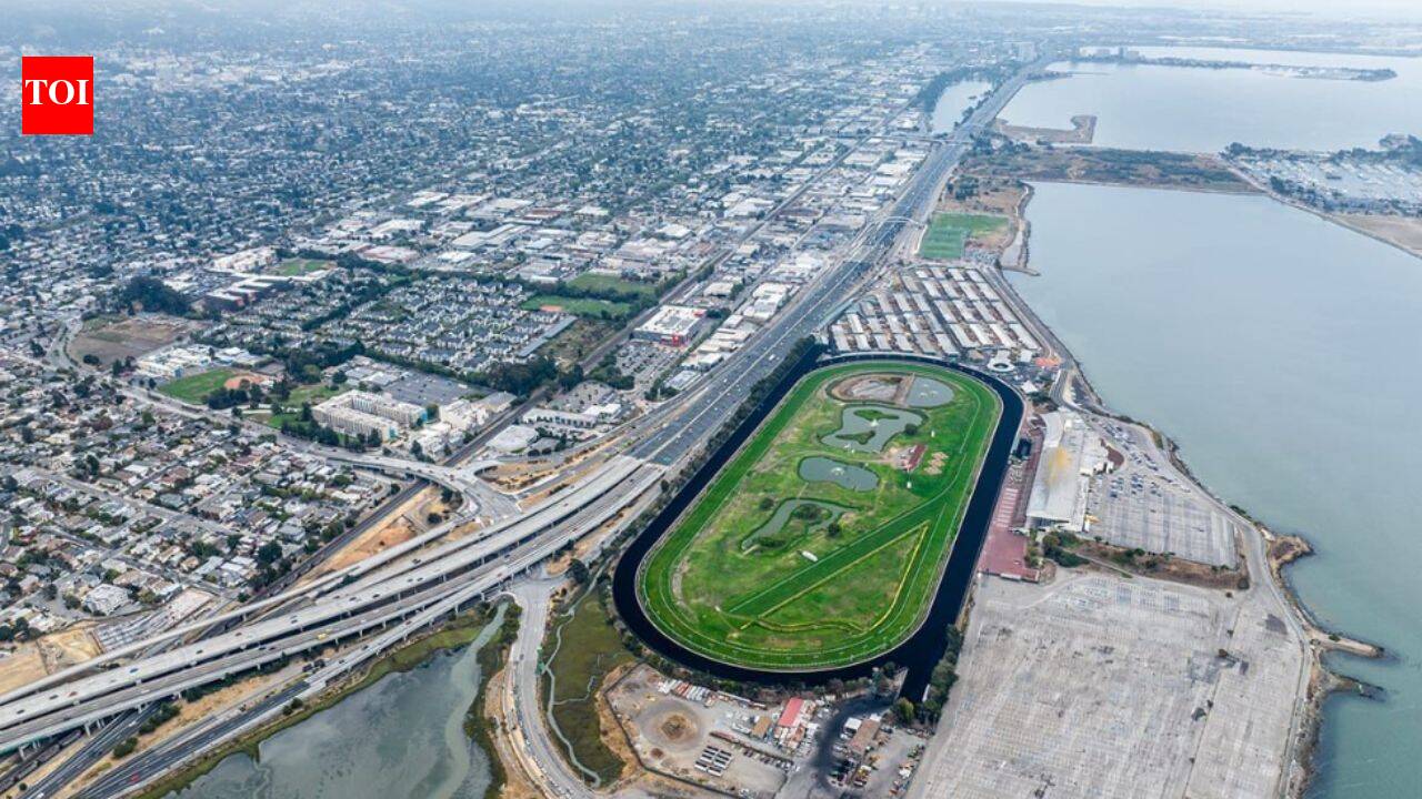 Historic California racetrack could become waterfront park in $175m plan
