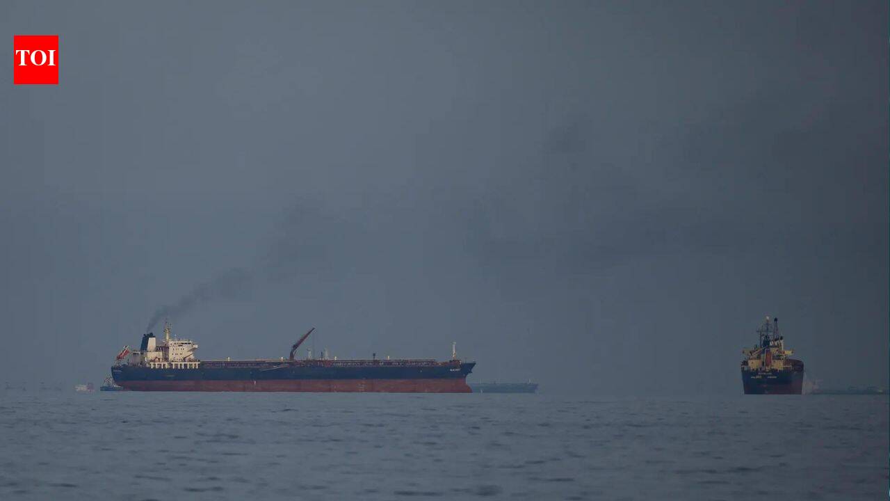 10 feared dead as Turkish cargo ship sinks after collision with tanker off Istanbul