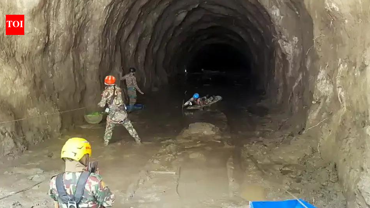 '23 Silkyara 'rat miners' offer to join Nepal tunnel rescue